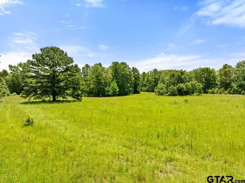 5353 Cr 385, Tyler, TX 75708 photo 20