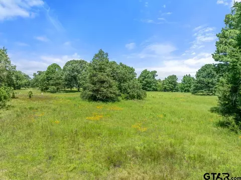 5353 Cr 385, Tyler, TX 75708 photo 18
