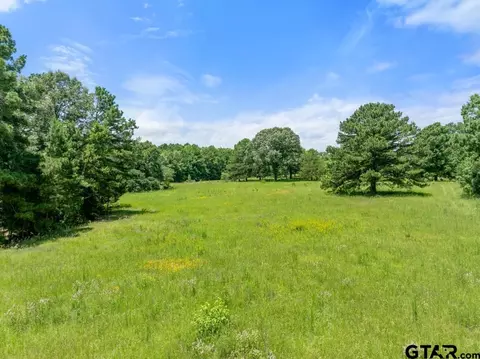 5353 Cr 385, Tyler, TX 75708 photo 19