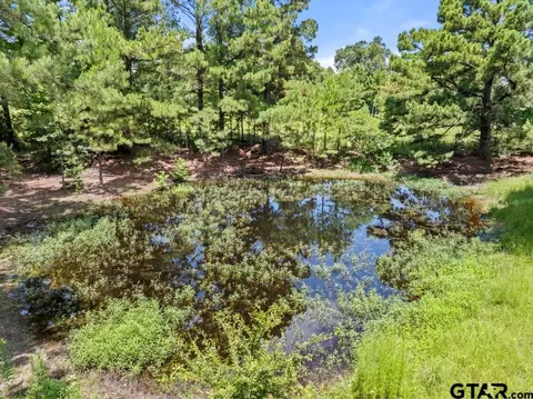 5353 Cr 385, Tyler, TX 75708 photo 22