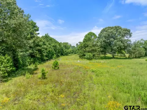 5353 Cr 385, Tyler, TX 75708 photo 17