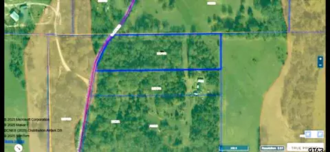 0 An County Road 2610, Tennessee Colony, TX 75861