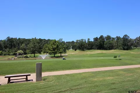 Other - Undisclosed, Hideaway, TX 75771 photo 8 of 10