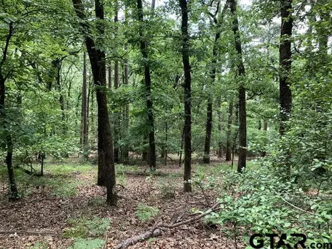 300 301 Misty Glen Ln, Holly Lake Ranch, TX 75765