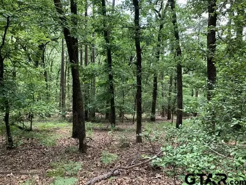 300 301 Misty Glen Ln, Holly Lake Ranch, TX 75765