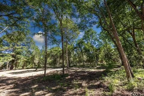 3202 N Fm 346 #LOT 3, Bullard, TX 75757