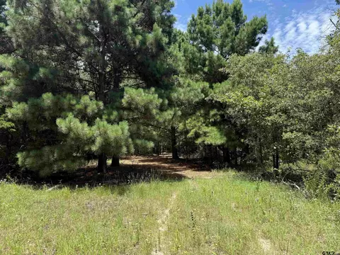 2008 Cr 3230, Quitman, TX 75783