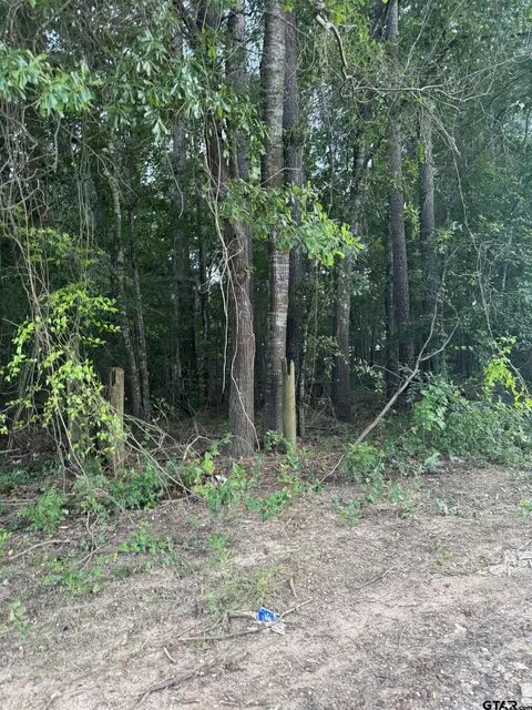 154 Pr 4035, Marshall, TX 75670