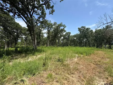 579 County Road 1843, Yantis, TX 75497 photo 8