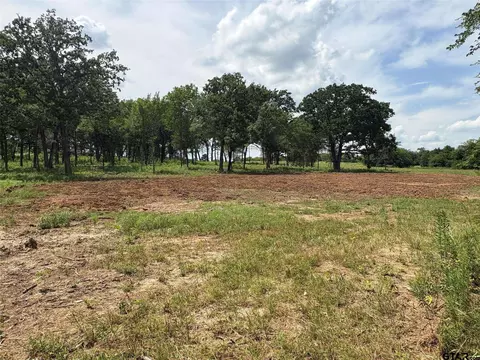579 County Road 1843, Yantis, TX 75497 photo 7
