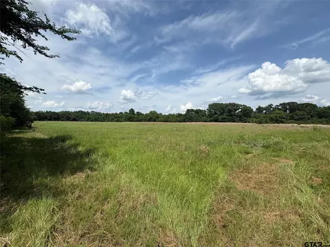579 County Road 1843, Yantis, TX 75497 photo 13