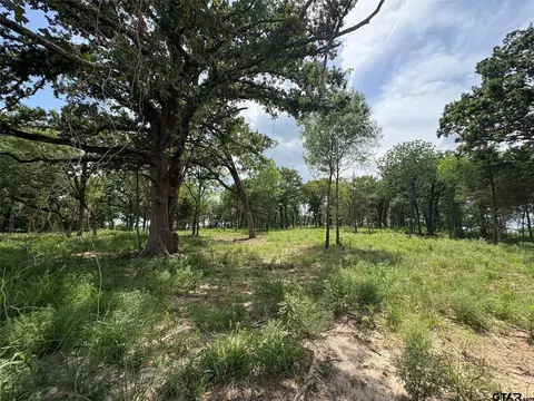 579 County Road 1843, Yantis, TX 75497 photo 11