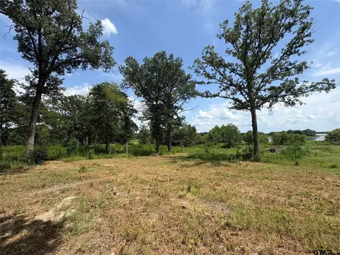 579 County Road 1843, Yantis, TX 75497 photo 5