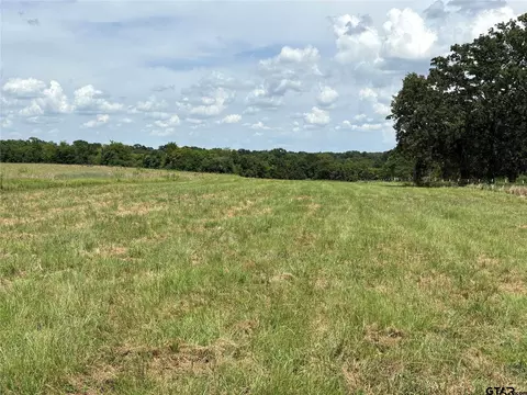 579 County Road 1843, Yantis, TX 75497 photo 15