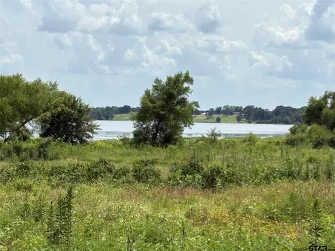 579 County Road 1843, Yantis, TX 75497 photo 1