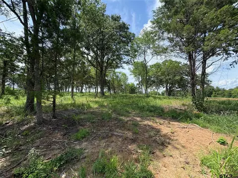 579 County Road 1843, Yantis, TX 75497 photo 10