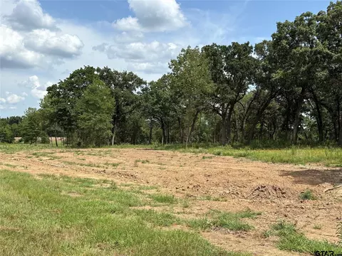 579 County Road 1843, Yantis, TX 75497 photo 12