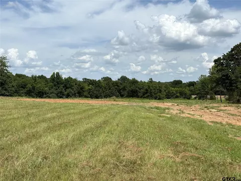 579 County Road 1843, Yantis, TX 75497 photo 14