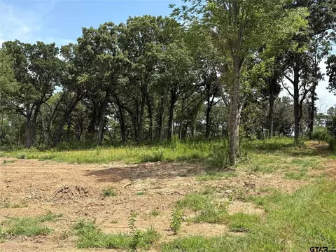 579 County Road 1843, Yantis, TX 75497 photo 3