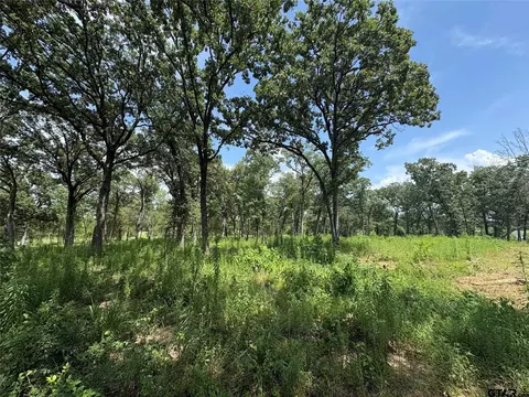 579 County Road 1843, Yantis, TX 75497 photo 9