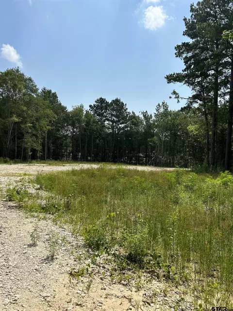 642 Loop 343, Rusk, TX 75785 photo 9
