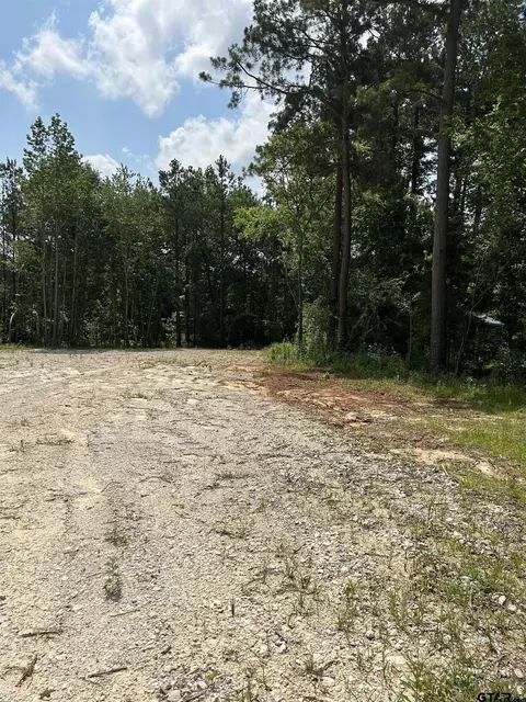 642 Loop 343, Rusk, TX 75785 photo 6