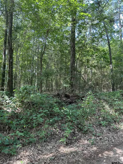 532 Jerome St, Rusk, TX 75785