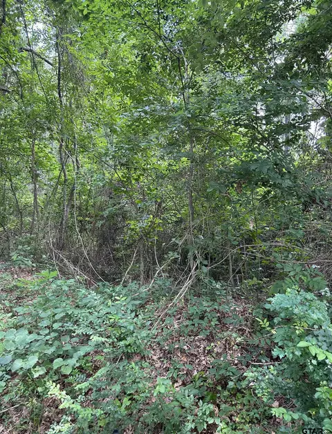 467 Williams St, Rusk, TX 75785