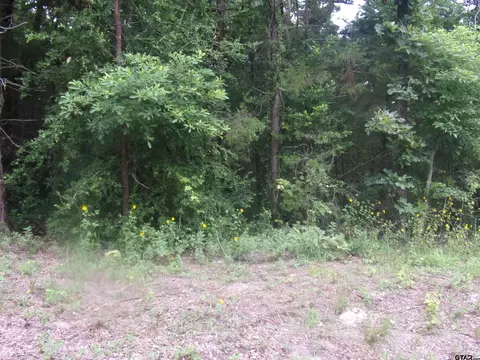 tbd Holly Gln, Murchison, TX 75778 photo 4