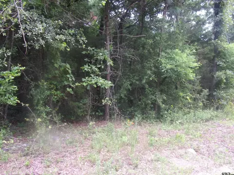 tbd Holly Gln, Murchison, TX 75778 photo 5