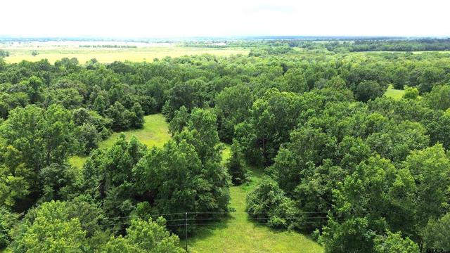 Tract 1 Cr 2065, Crockett, TX 75835