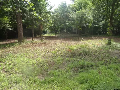 751 Dogwood Trl, Murchison, TX 75778
