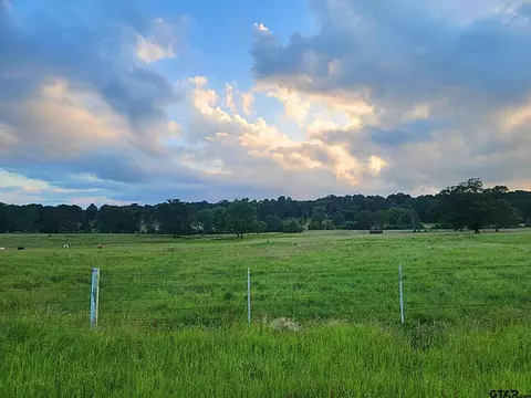000 Fm 778, Quitman, TX 75783