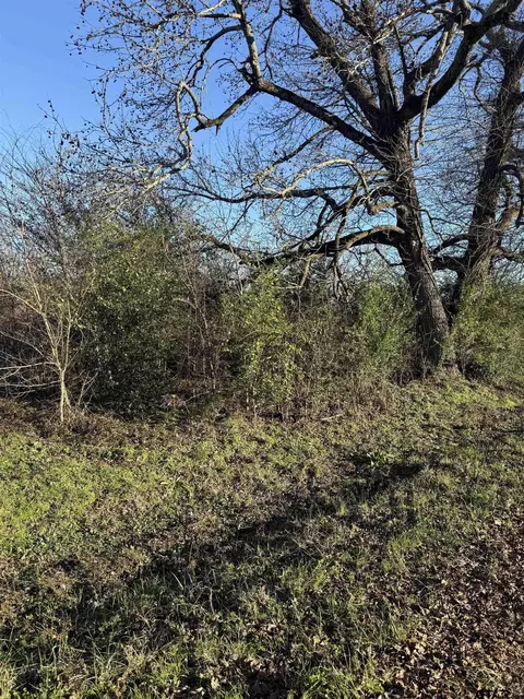 374 County Rd 1115, Carthage, TX 75633