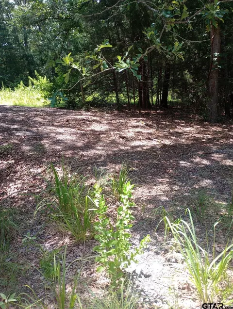 tbd Dogwood Dr, Murchison, TX 75778