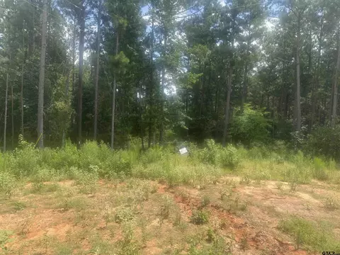lot13 Pr 7949, Hawkins, TX 75765