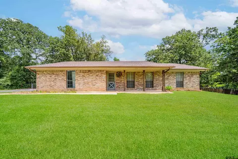 325 Shannas Trl, Tatum, TX 75691