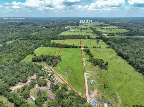 1956 Vz County Road 4511, Ben Wheeler, TX 75754