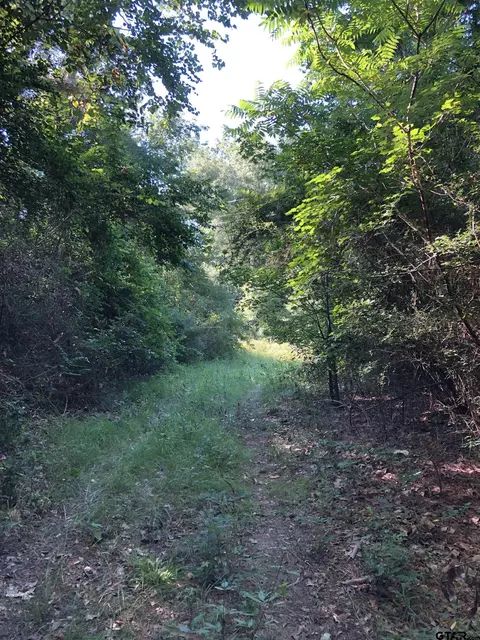 tbd Cr 1201, Rusk, TX 75785