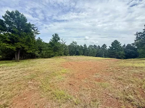 16121 W Valley View Ct, Winona, TX 75792