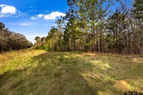 19427 County Road 2153 #LOT 2, Troup, TX 75789