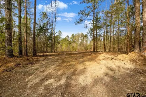 19178 County Road 2154 #LOT 34, Troup, TX 75789