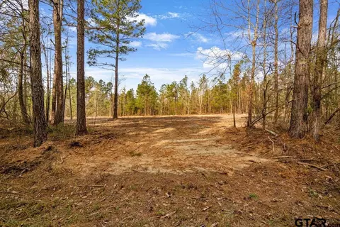 19210 County Road 2154 #LOT 5, Troup, TX 75789