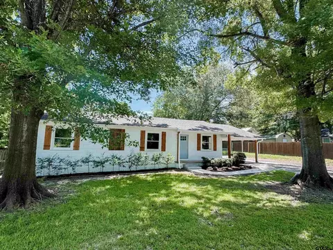 203 S Meadowbrook Dr, Overton, TX 75684