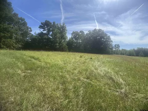 20 869 Ac Cr 4426, Winnsboro, TX 75494