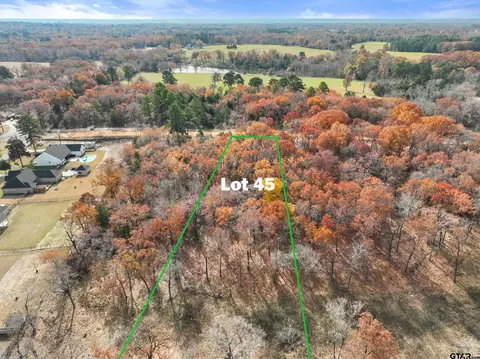 tbd Tbd Pr 6305 #LOT 45, Mineola, TX 75773