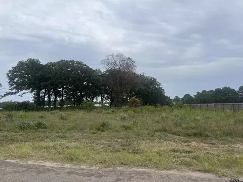 14914 C R 424, Lindale, TX 75771