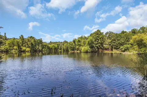 4891 Fm 856 N, Troup, TX 75789