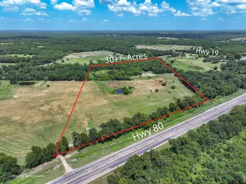 15542 Us Hwy 80, Edgewood, TX 75117