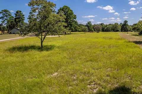 tbd County Road 313 E, Tyler, TX 75706